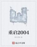 重启2004张源