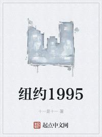 纽约1995by