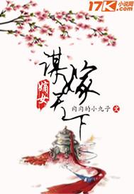 谋嫁天下简介