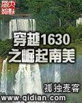 穿越1630之崛起南美txt