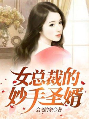 女总裁的妙手圣婿